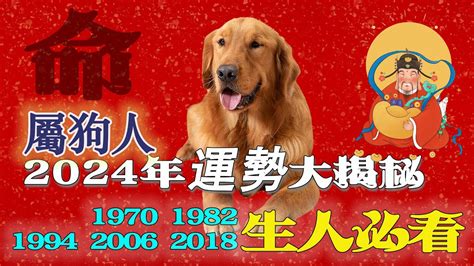 1970屬狗|生肖狗: 性格，愛情，2024運勢，生肖1994，2006，2018